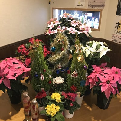 2019/11/21に菜の花が投稿した、商品の写真
