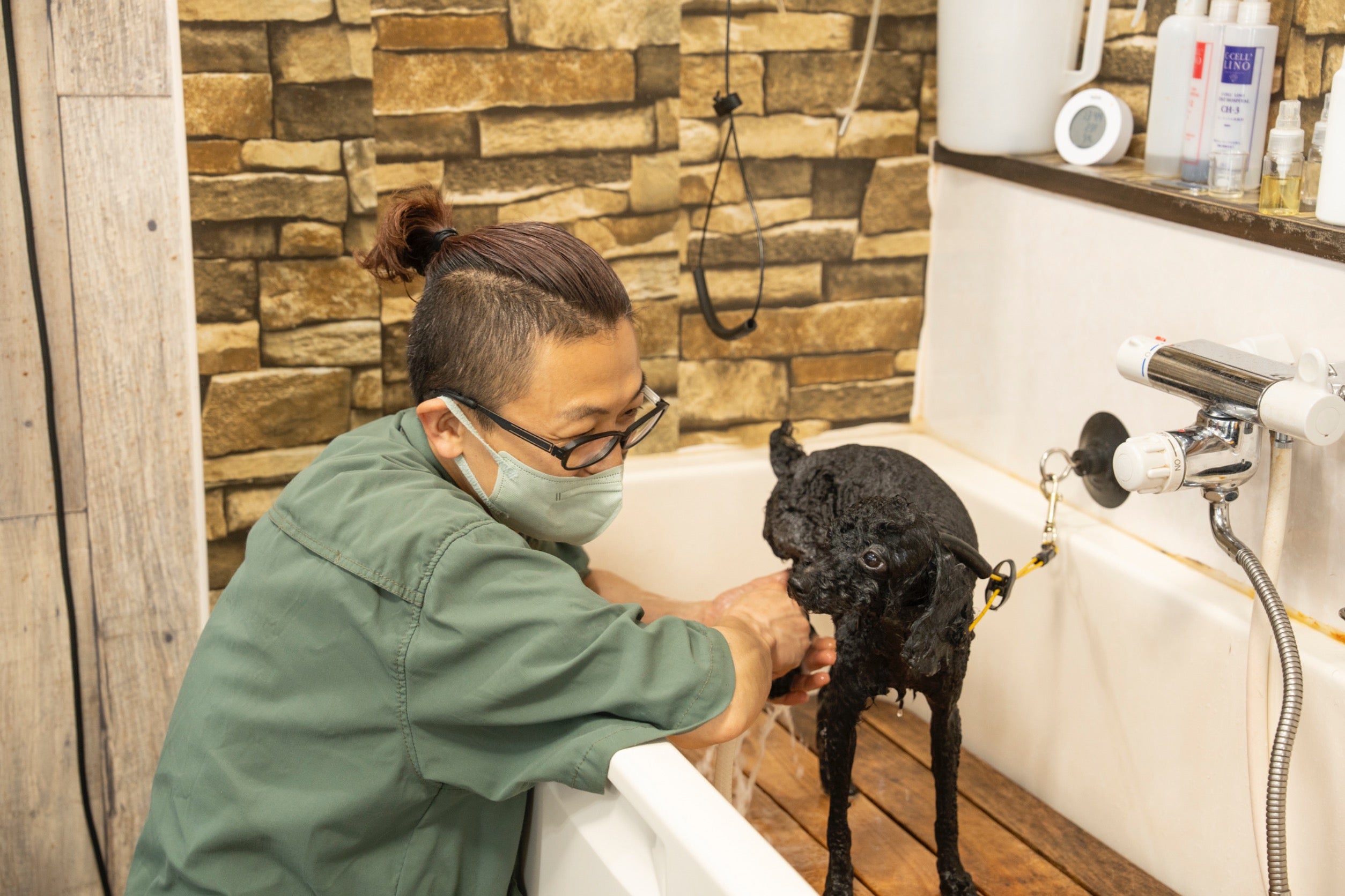 SUNNY THE DOGSALONの【ドッグマッサージセラピスト在籍】心と体の負担を軽減するシャンプーコースの写真