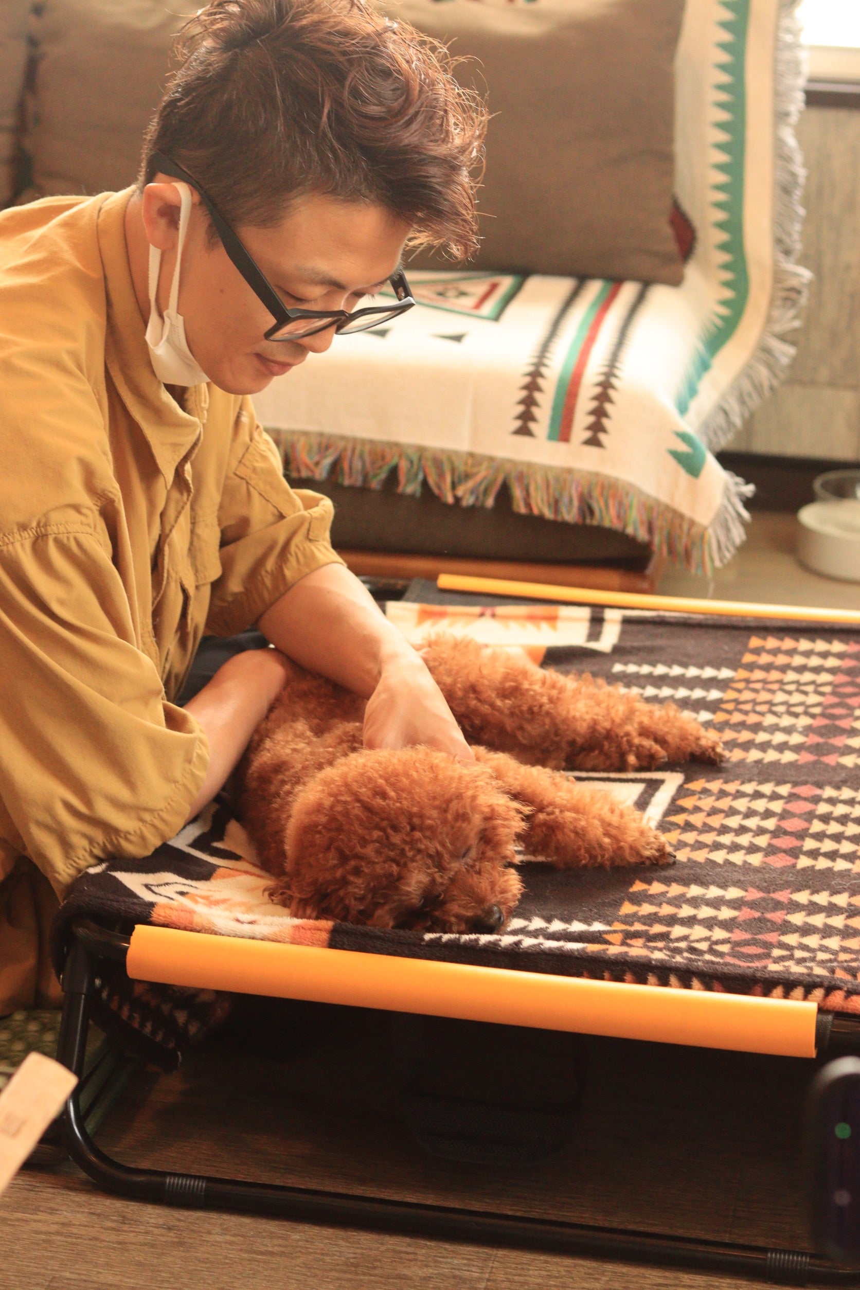 SUNNY THE DOGSALONの【ドッグスペシャリストの本格ケア】姿勢改善とQOL向上を目的としたマッサージコースの写真