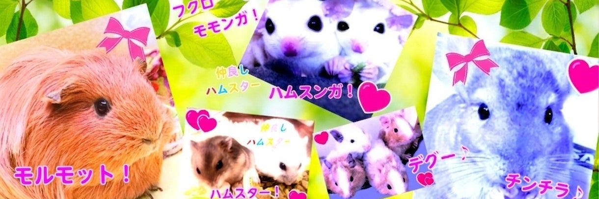 ときどきペットショップ