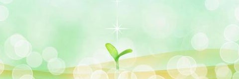 shiny・光凛 占い＆心理カウンセリング気づきのHealing Room_4枚目