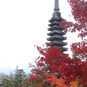 2017/12/08に西應寺が投稿した、外観の写真