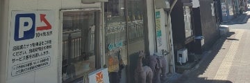 癒しの種_3枚目