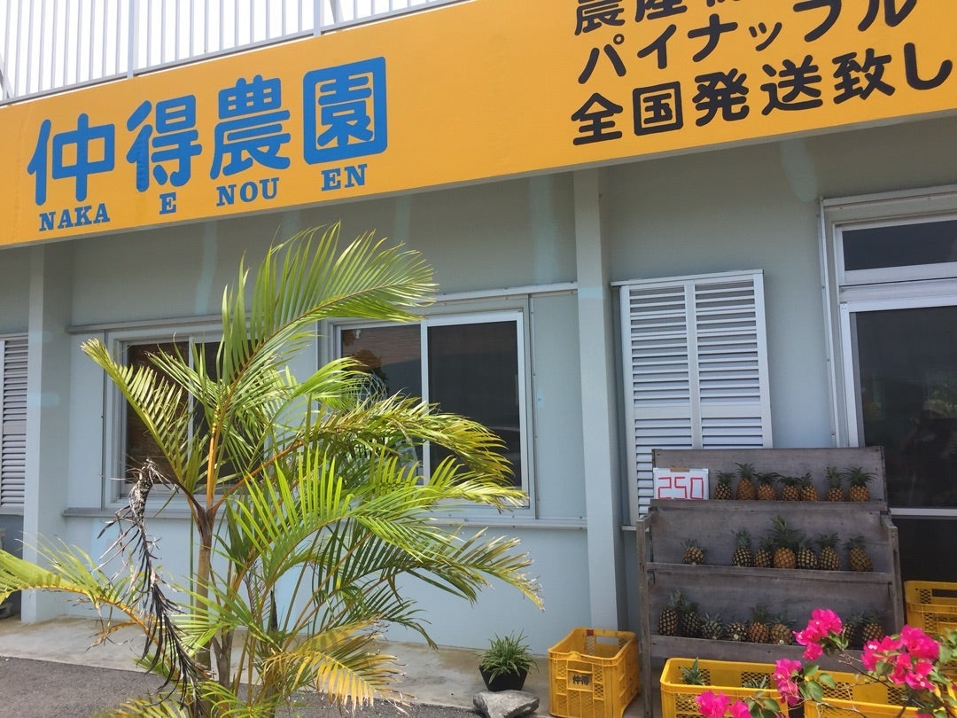 仲得農園_2枚目