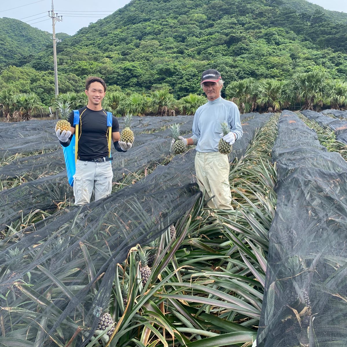 仲得農園_3枚目