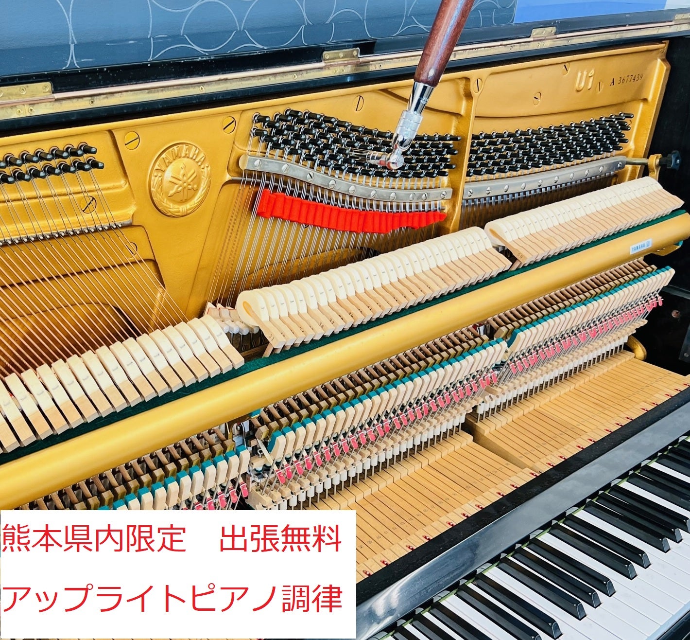 大谷楽器ピアノ調律のピアノ調律・修理・買取の写真