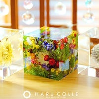 フラワーショップりず花のハルコレ認定　クリスタル・アートリウム®テクニカル・デザインコースの写真