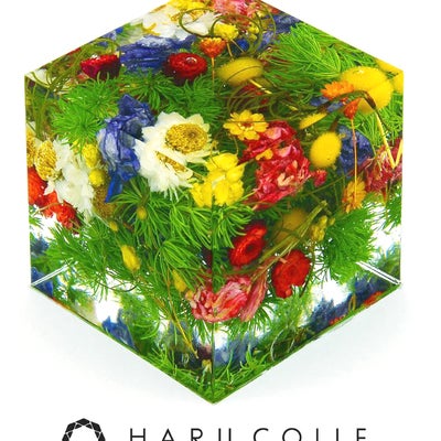 フラワーショップりず花のハルコレ認定　クリスタル・アートリウム®テクニカル・デザインコースの写真_4枚目