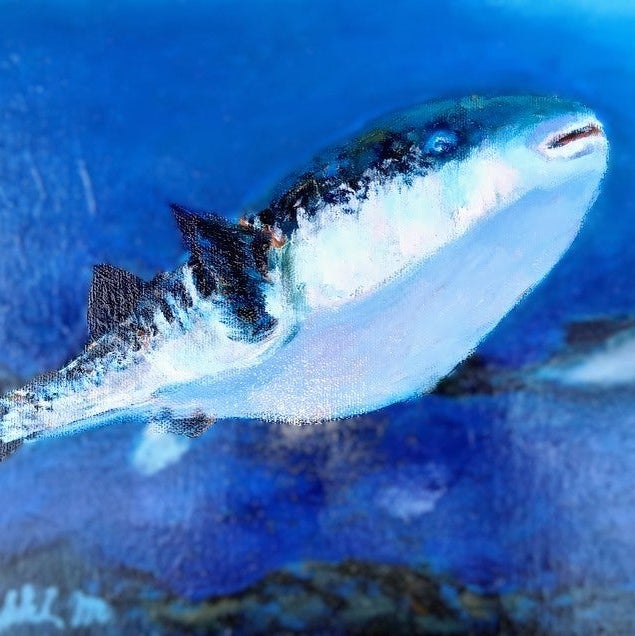 ふくの岡とら_2枚目
