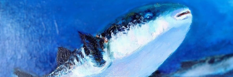 ふくの岡とら_1枚目