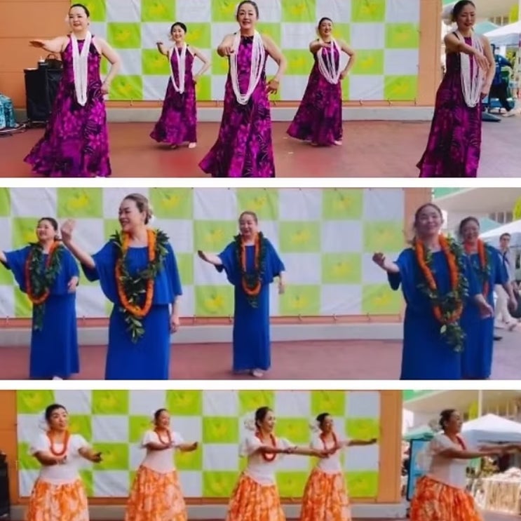Ka Pa Hula O Ke Ola Nani Iapana_3枚目