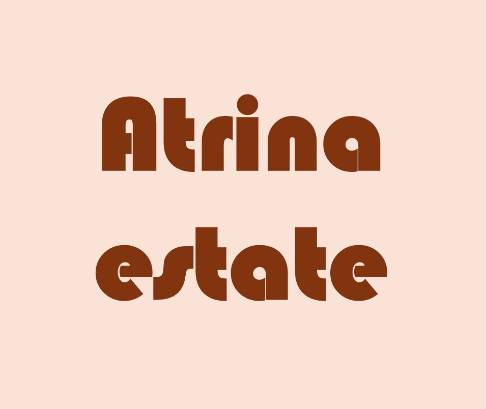 Atrina不動産_1枚目