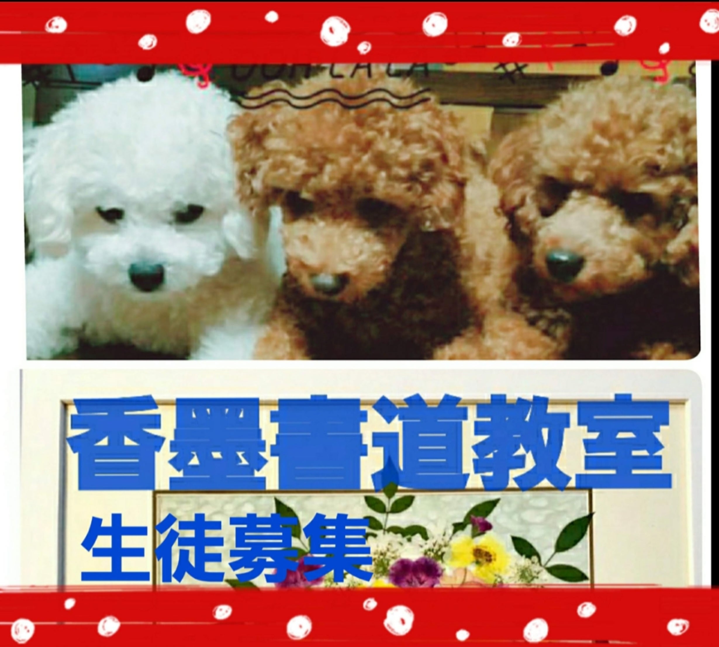 香墨書道教室の香墨書道教室  キッズ  年中さん～小学６年生の写真