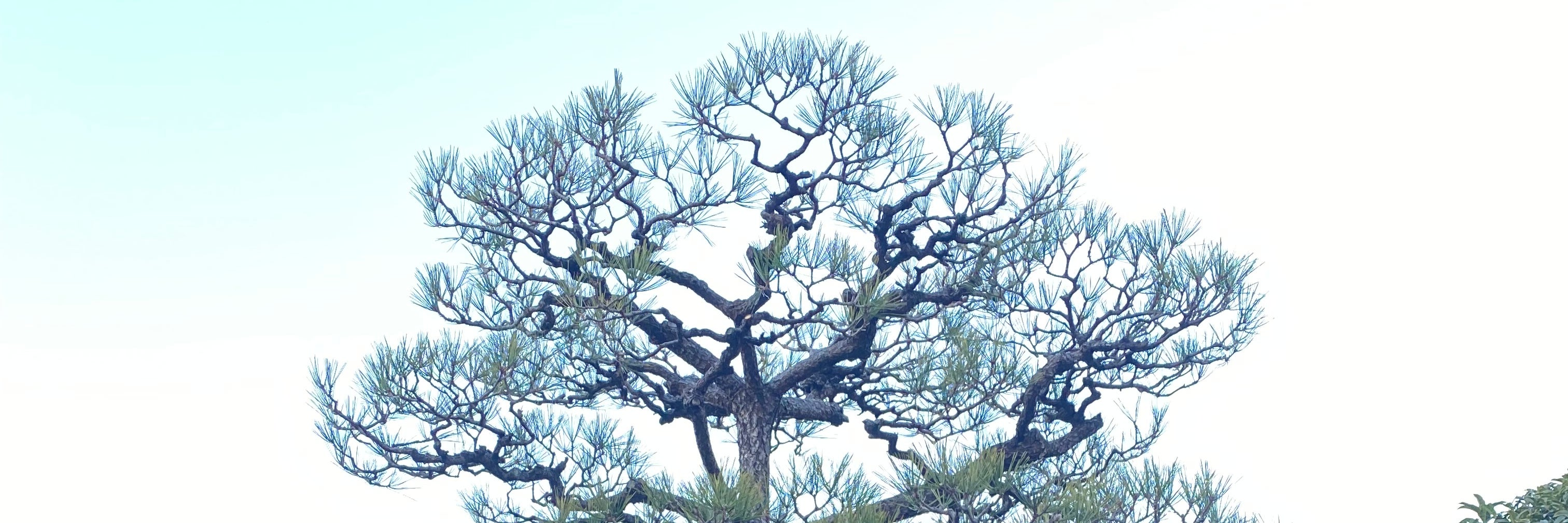 松永造園