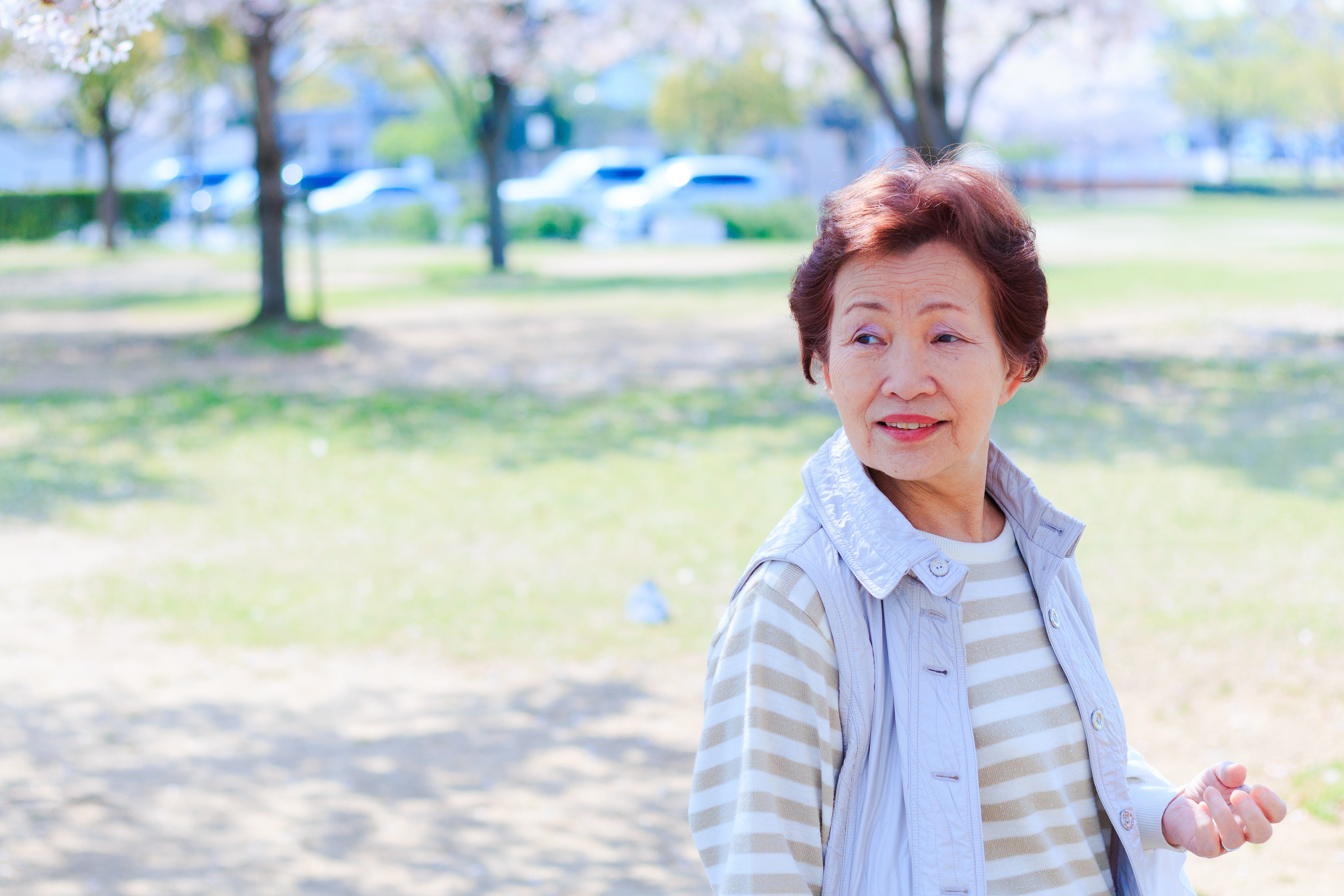 元気な未来をつくる！介護予防と健康づくりのシニアクラスの写真
