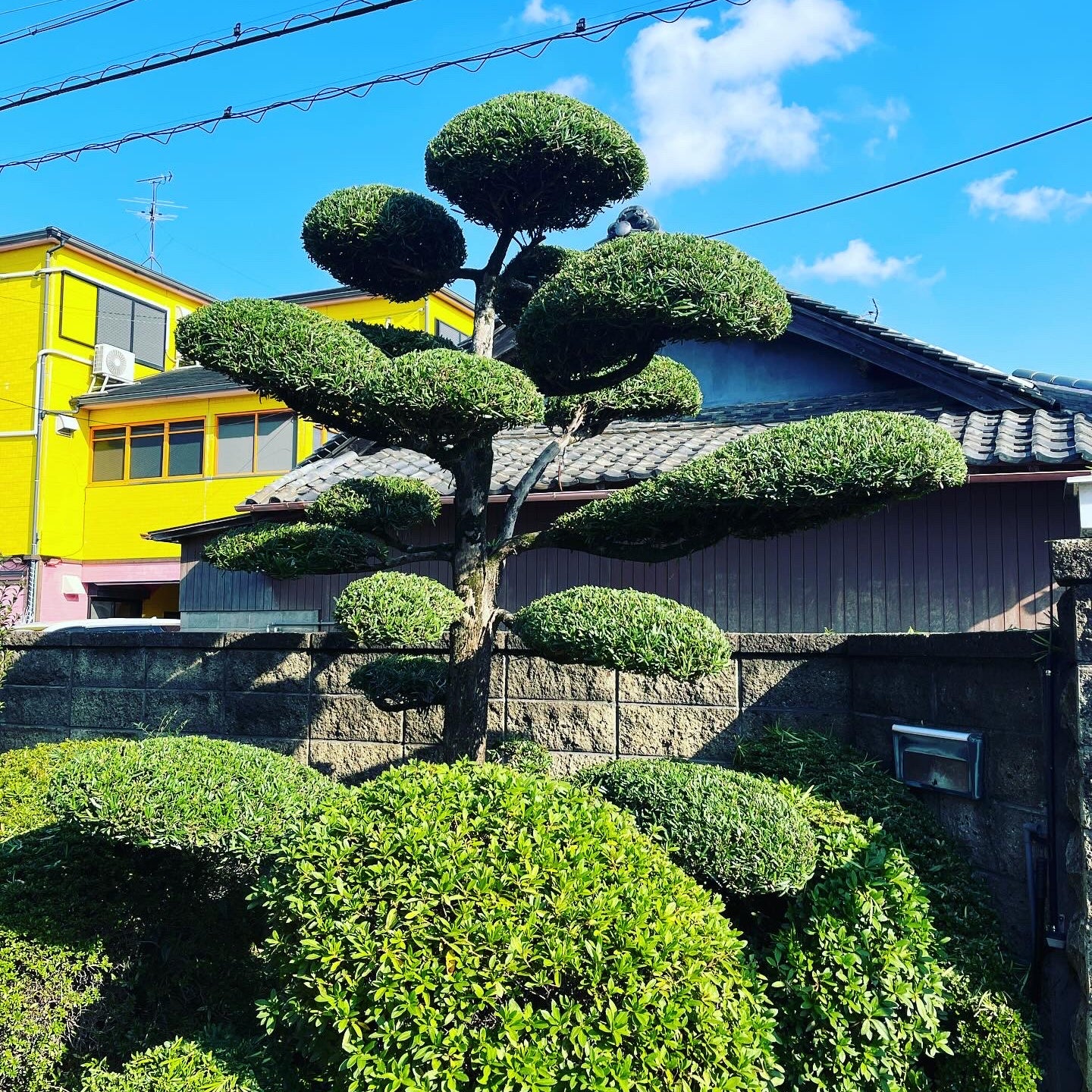 寺本造園_2枚目
