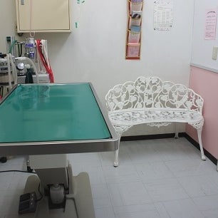 2015/02/05にヒロ犬猫病院が投稿した、雰囲気の写真