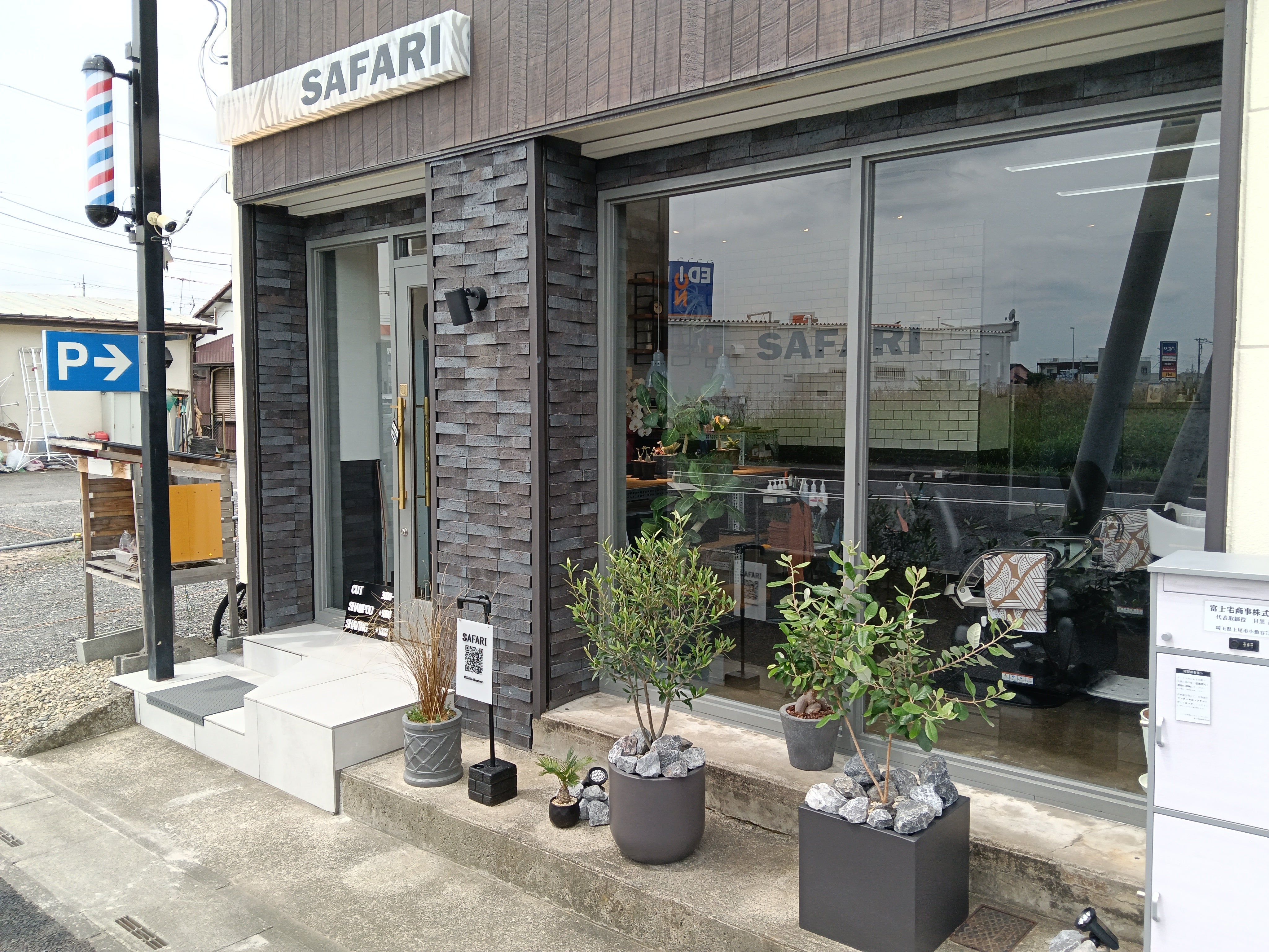 SAFARI_1枚目