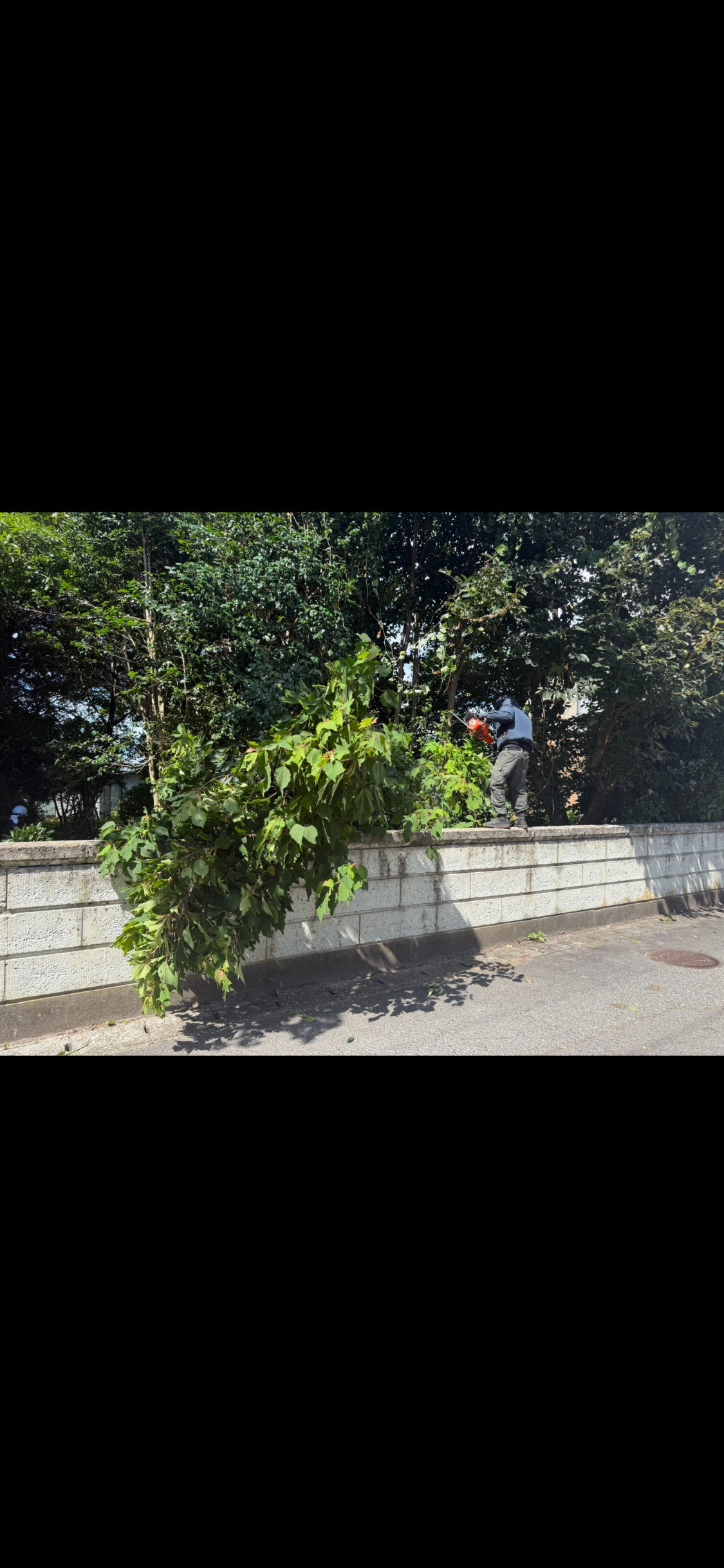 藤誠総建の紹介写真_2枚目