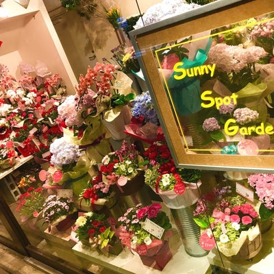 Sunny Spot Garden_1枚目