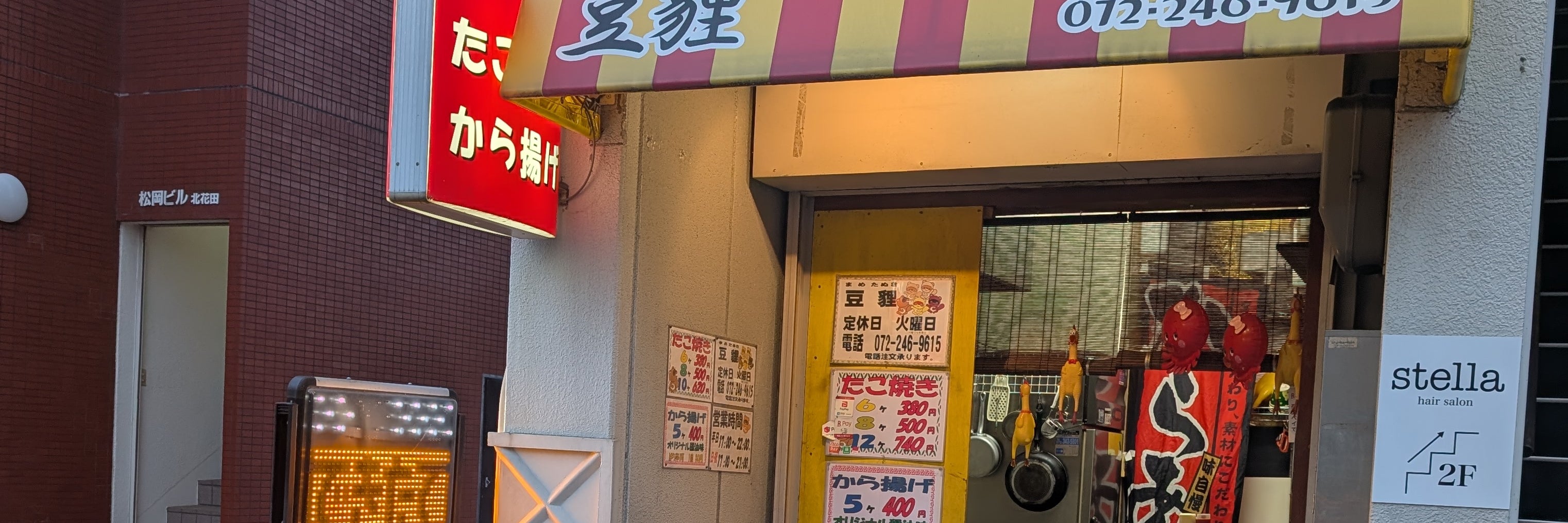 豆狸