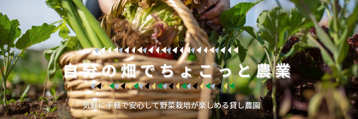 ちょこっと農業　寝屋川河北西町農園