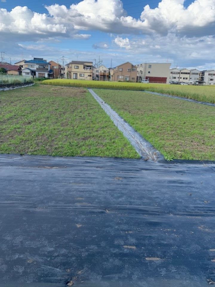 ちょこっと農業　寝屋川河北西町農園_2枚目