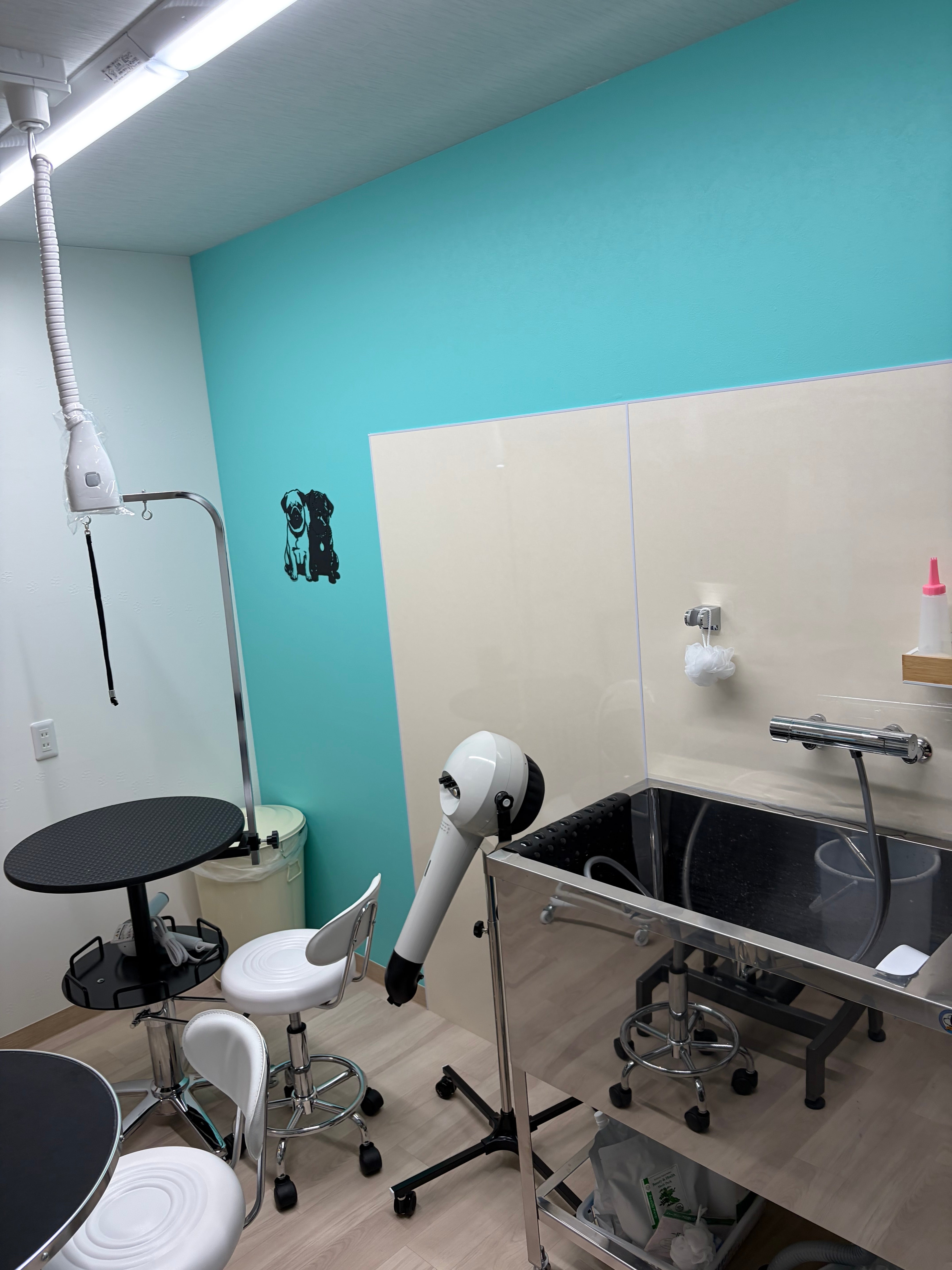 LOCO PET高柳店_3枚目