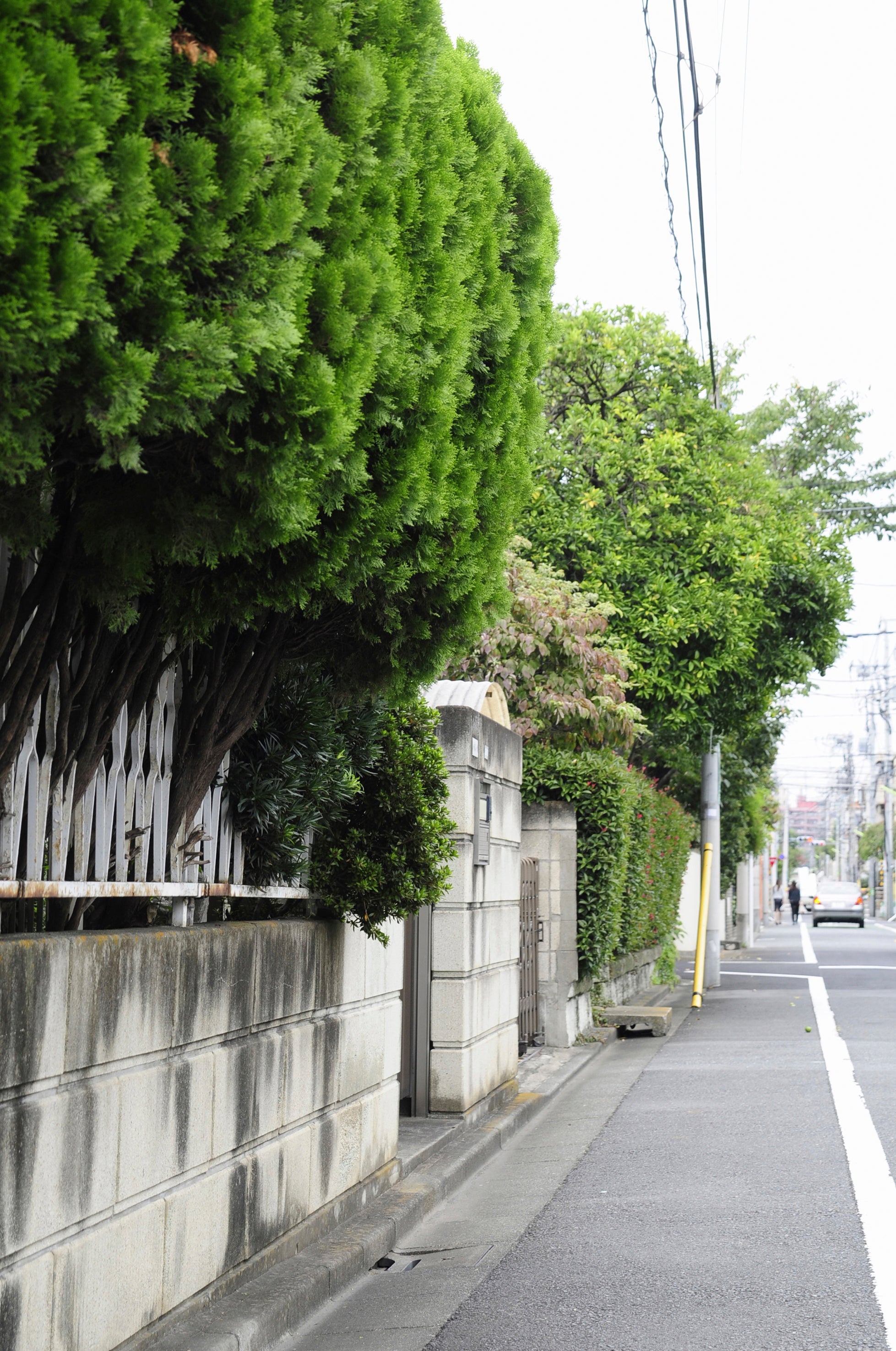 今村造園土木