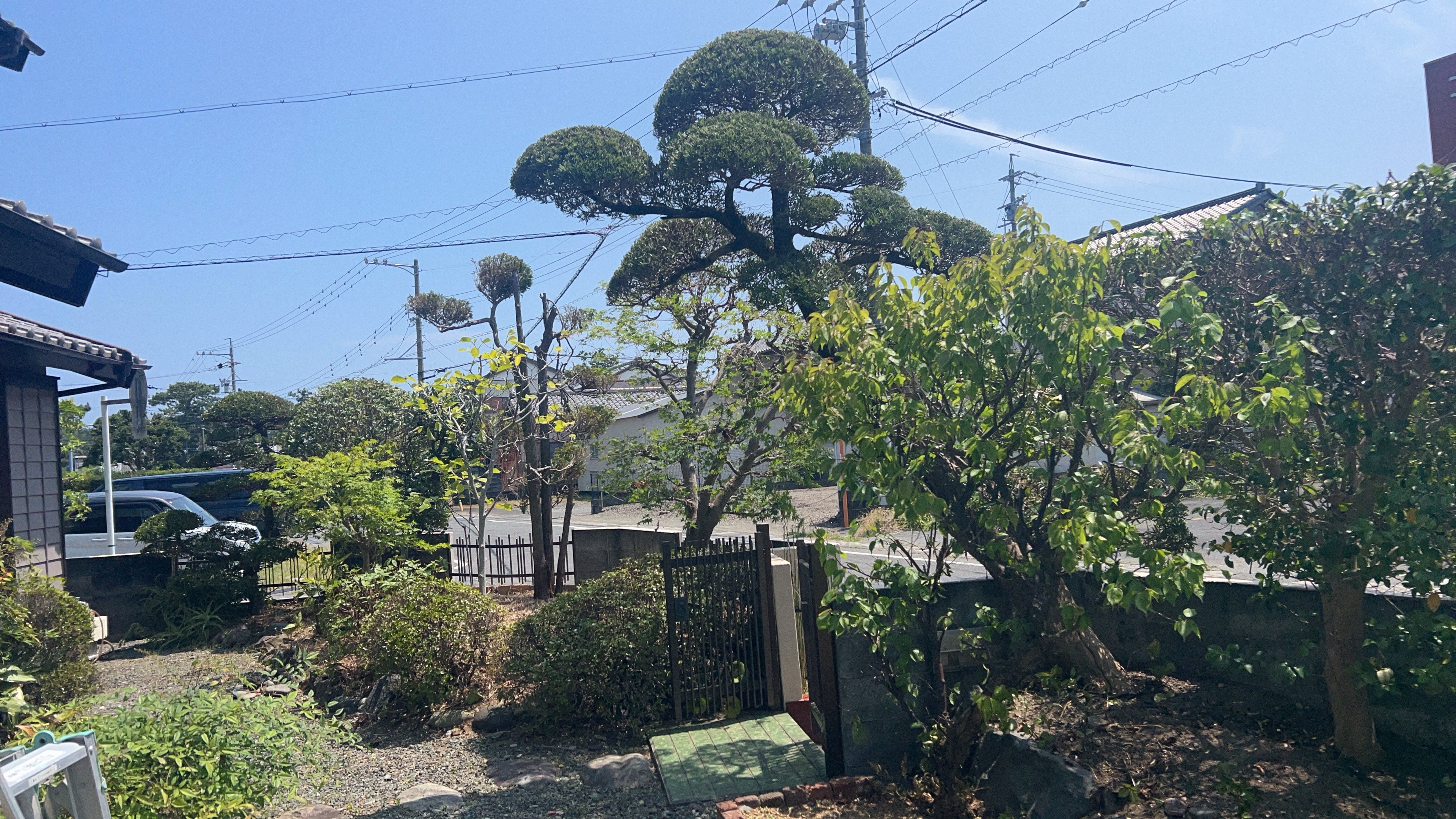 グリーンライフの剪定／草刈り／庭の管理　などの写真