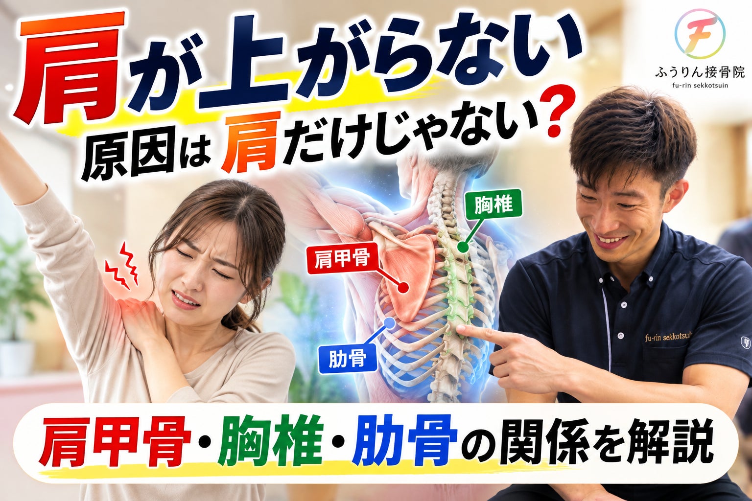 肩が上がらない原因は肩だけじゃない？肩甲骨・胸椎・肋骨の関係の写真