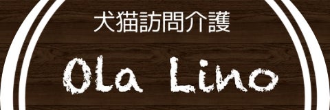 犬猫訪問介護Ola Lino