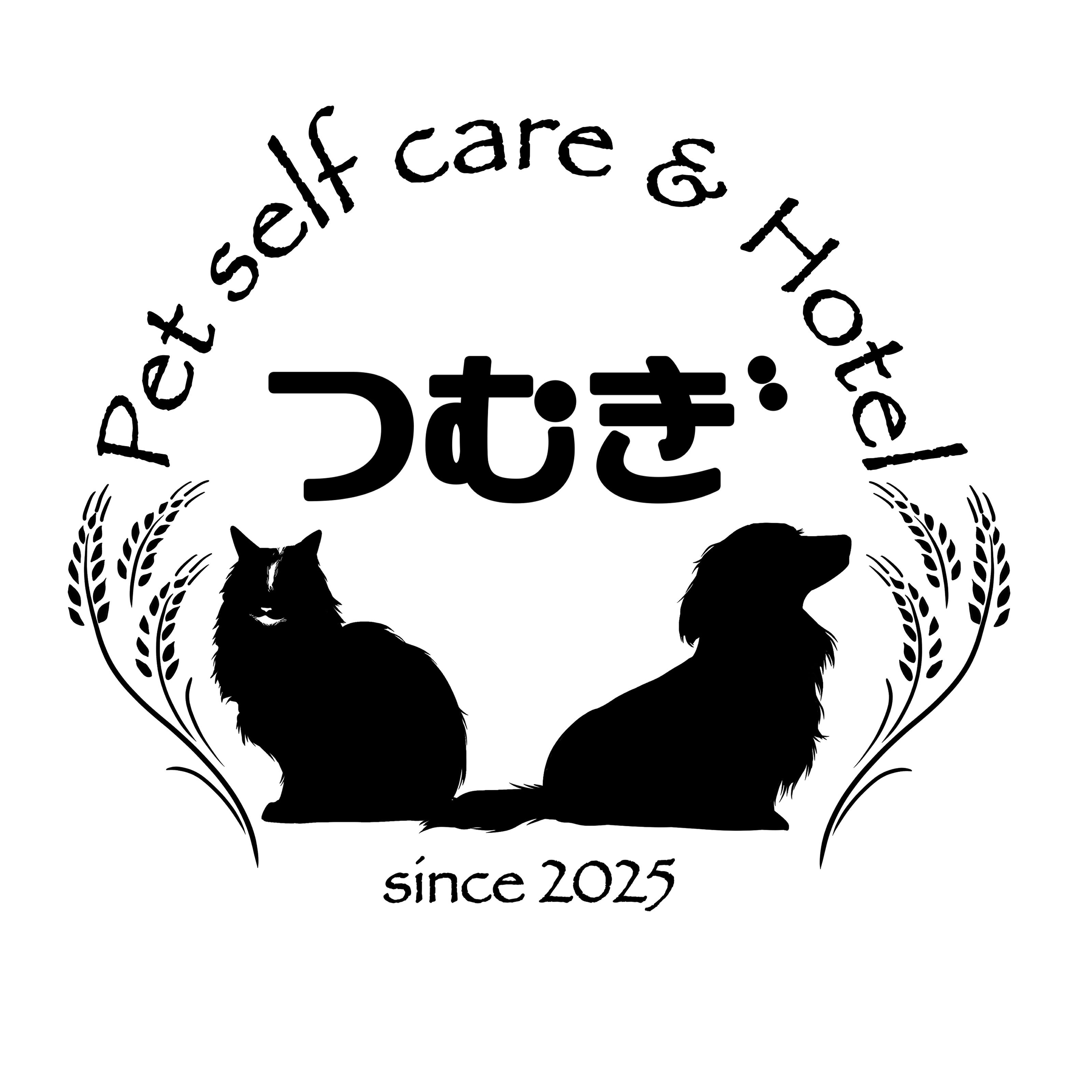 つむぎ_1枚目