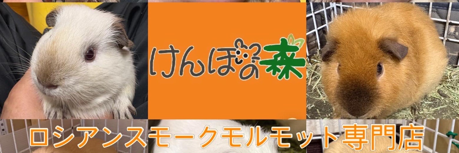 けんぼの森