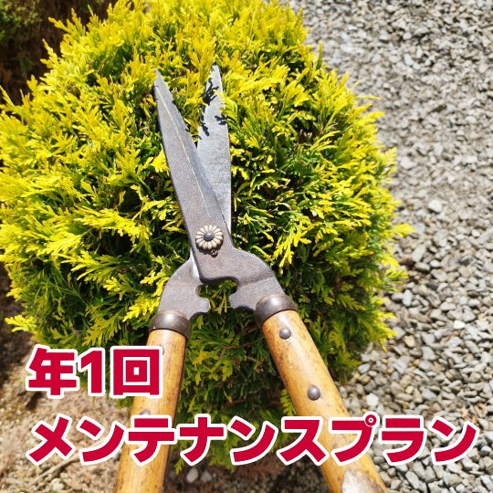 榮倉theGARDEN 可児営業所 -お庭のお手入れ専門店-の年1回メンテナンスプラン　　18,500円〜 （税込）の写真