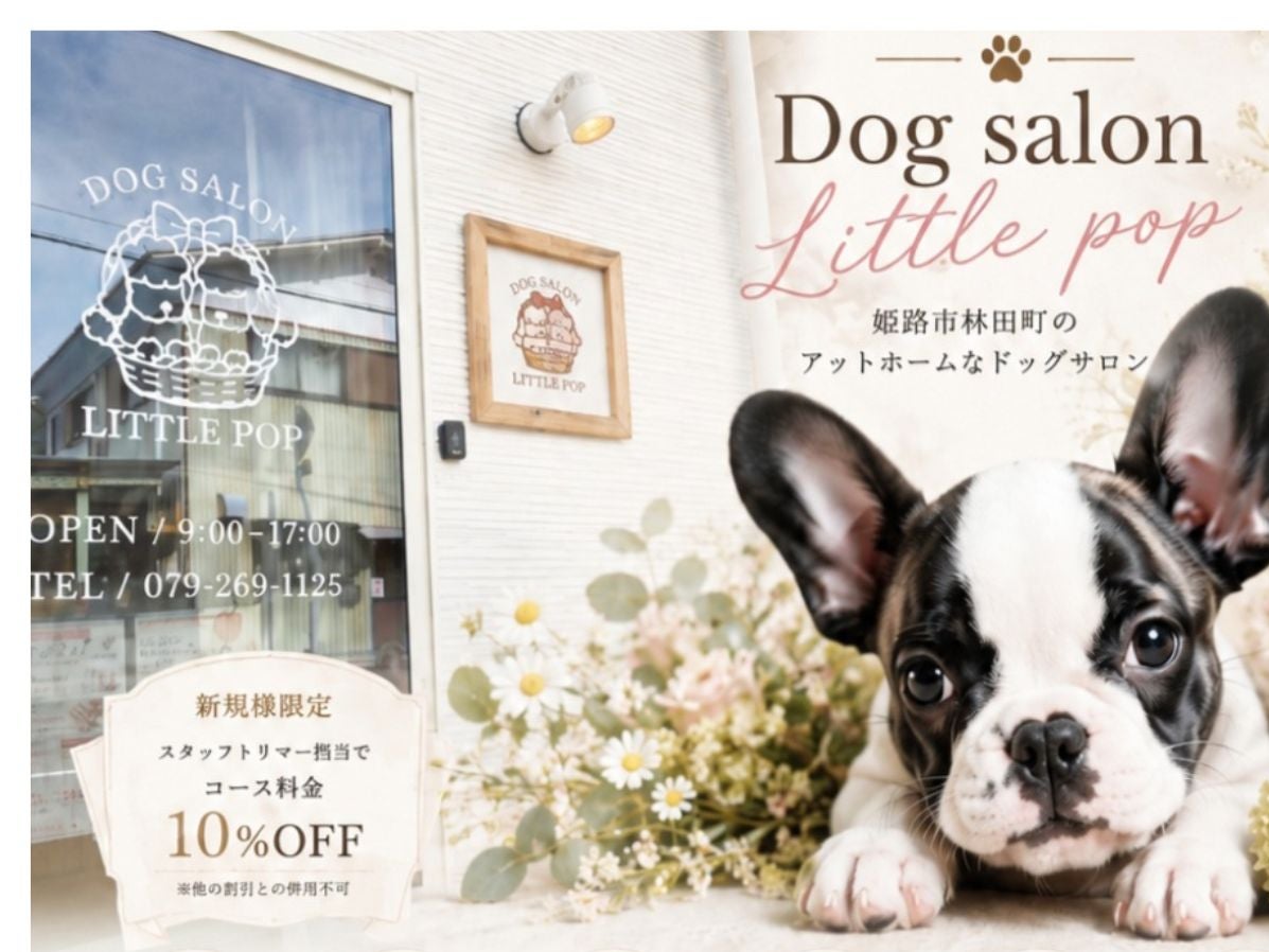 Dog  salon  Little. Pop_2枚目