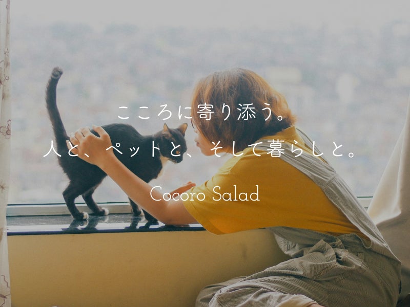こころサラダ_2枚目