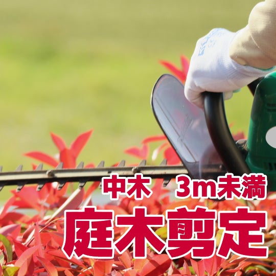 榮倉theGARDEN 一宮営業所 -お庭のお手入れ専門店-の【庭木剪定】中木　3m未満　　7,700円〜/本 （税込）の写真