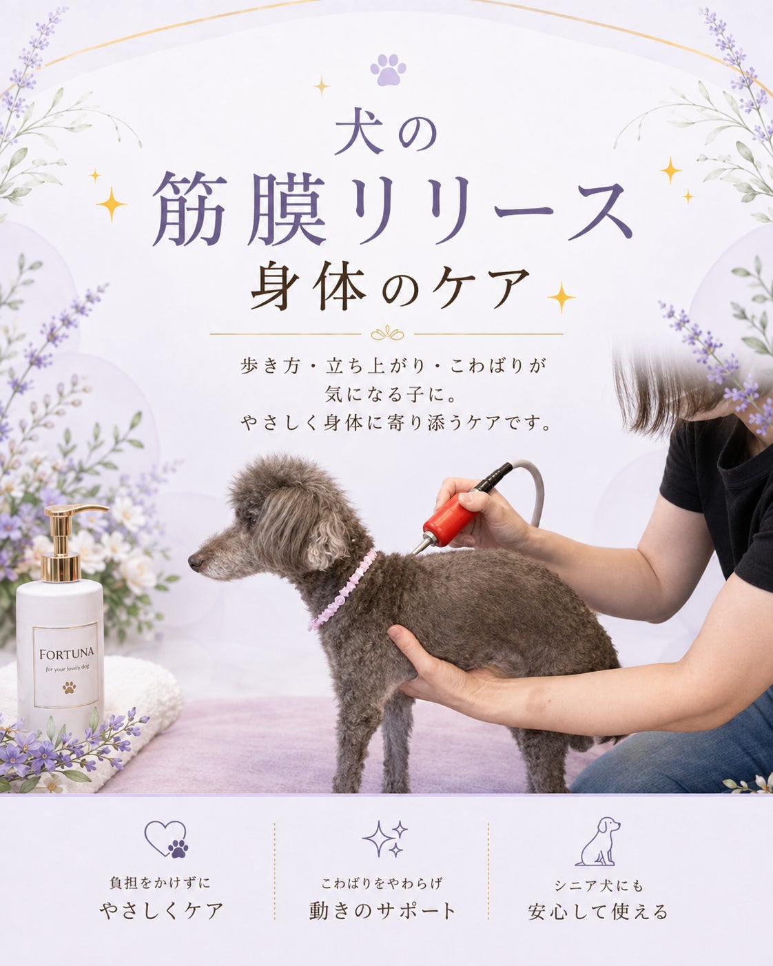 トリミングカー＆サロンFortuna の筋膜リリースの写真