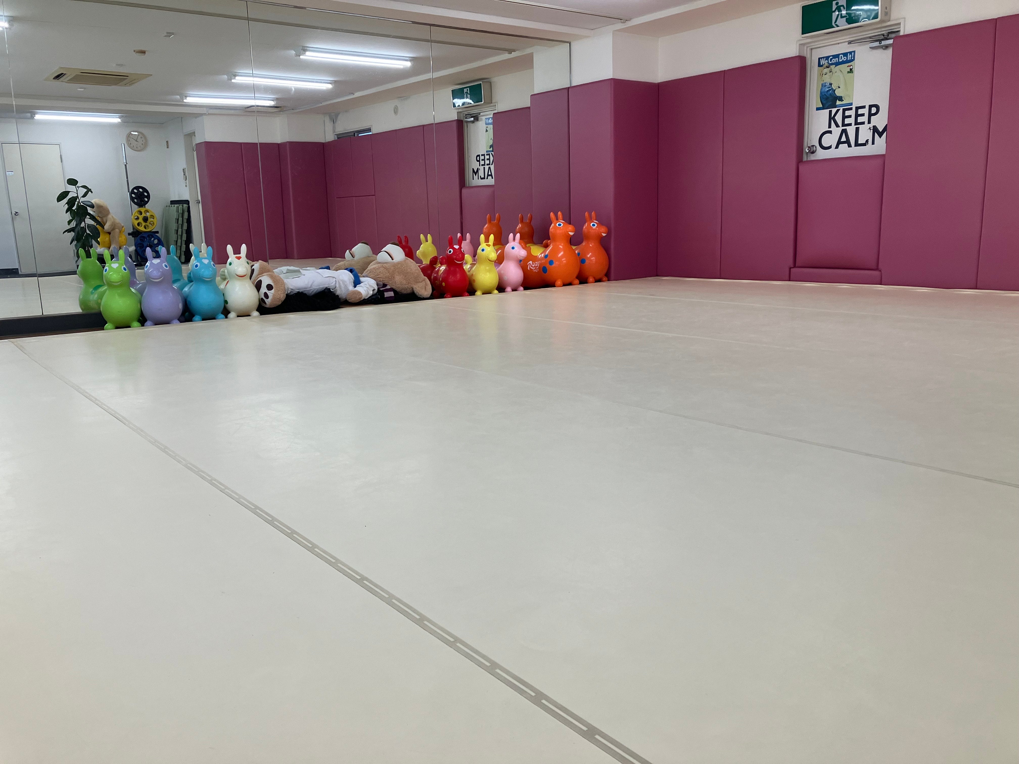 トゥーカンブラジリアン柔術_3枚目