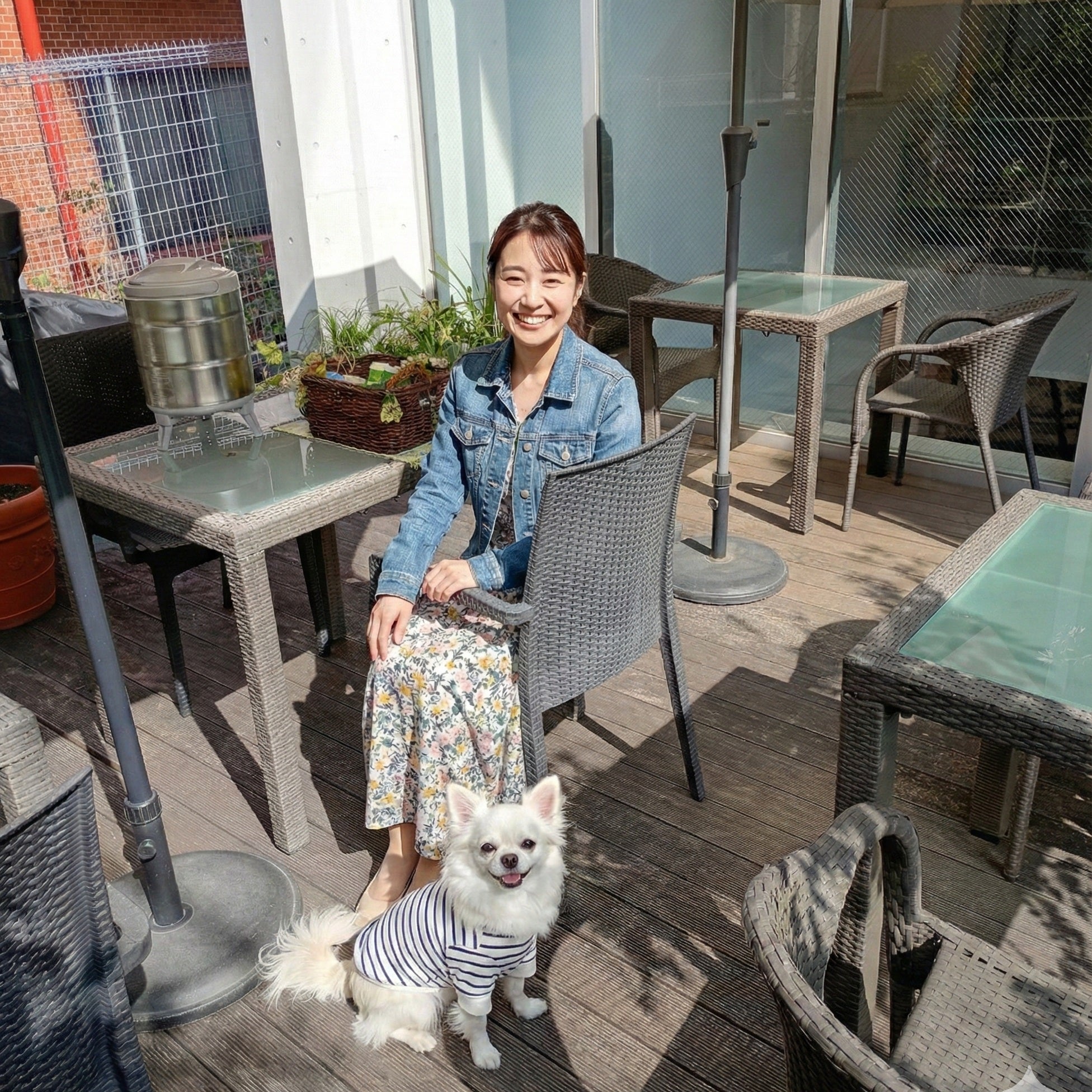 ペット犬服 loupiotte＆犬休憩テラススペース_3枚目