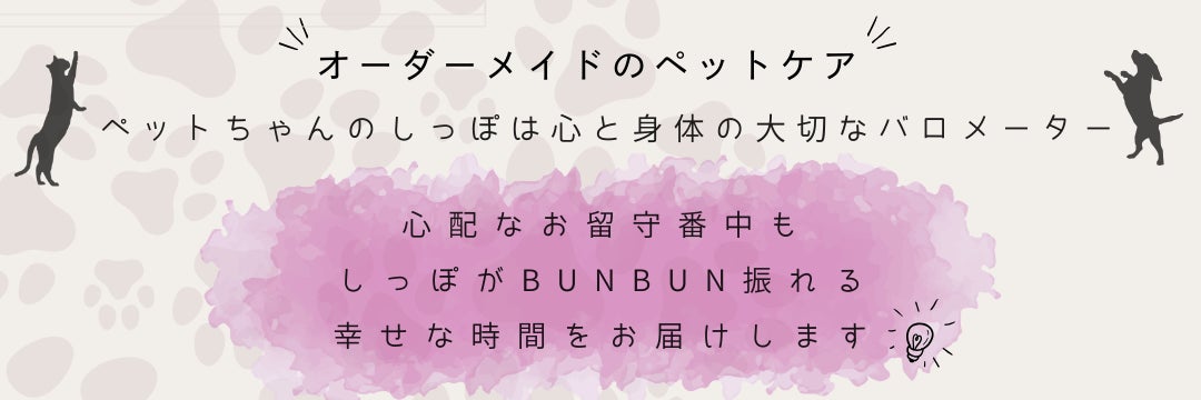 Pet Answer BUNBUNている