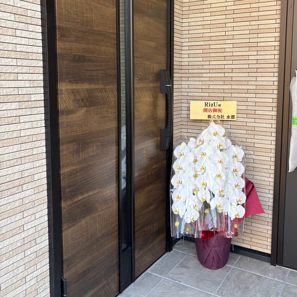 RizU