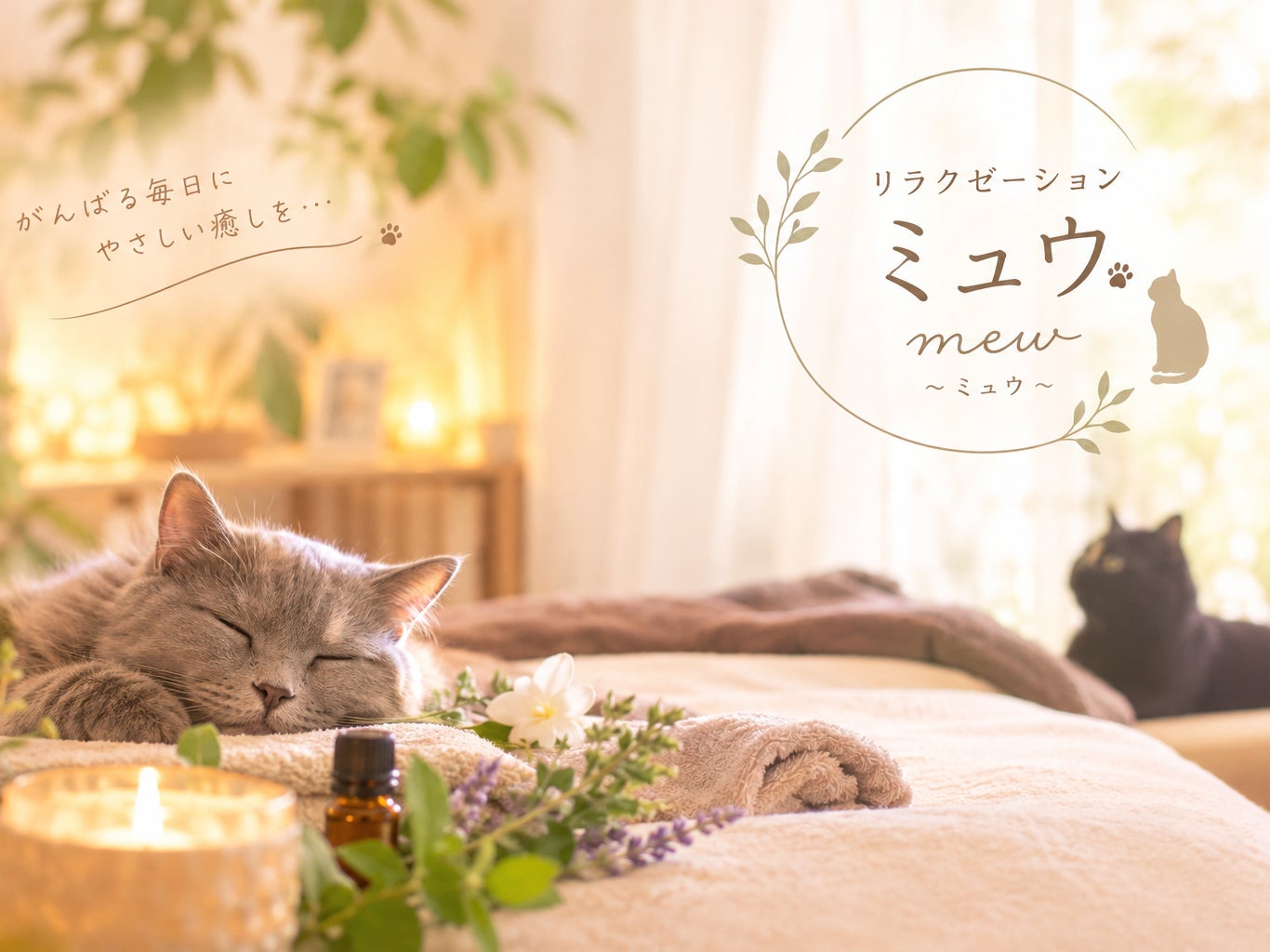 mew ~ミュウ~_3枚目