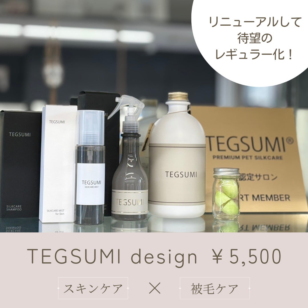 PETDESIGN春日井店のプードル全身カット＋TEGSUMIコースの写真