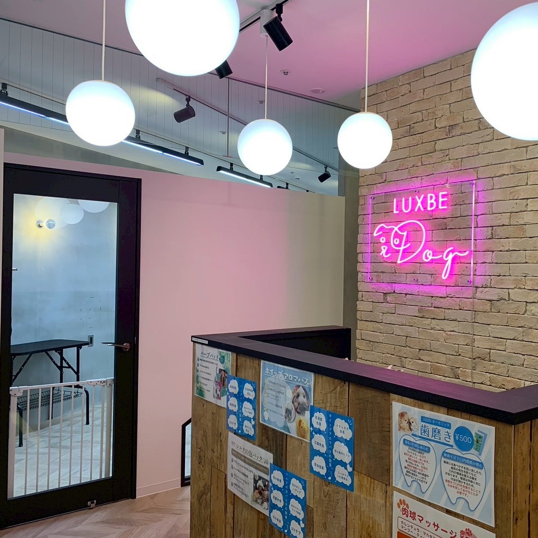 LUXBE DOG宮崎ナナイロ店_1枚目