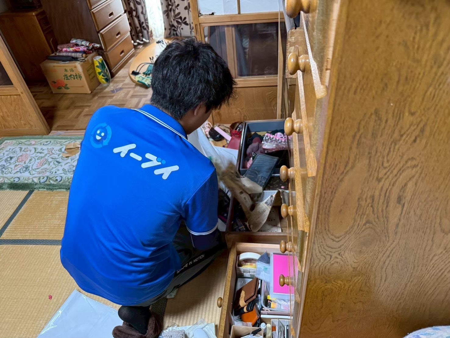 イーブイ 京都の紹介写真_1枚目