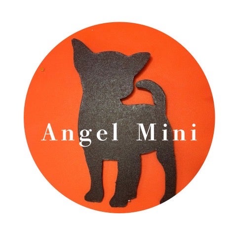 Angel Mini (エンジェル ミニ)