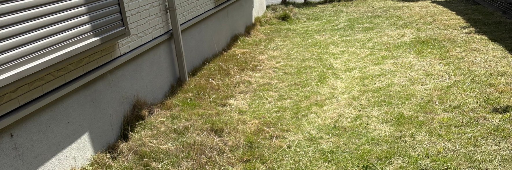 はなまる造園福岡店_3枚目