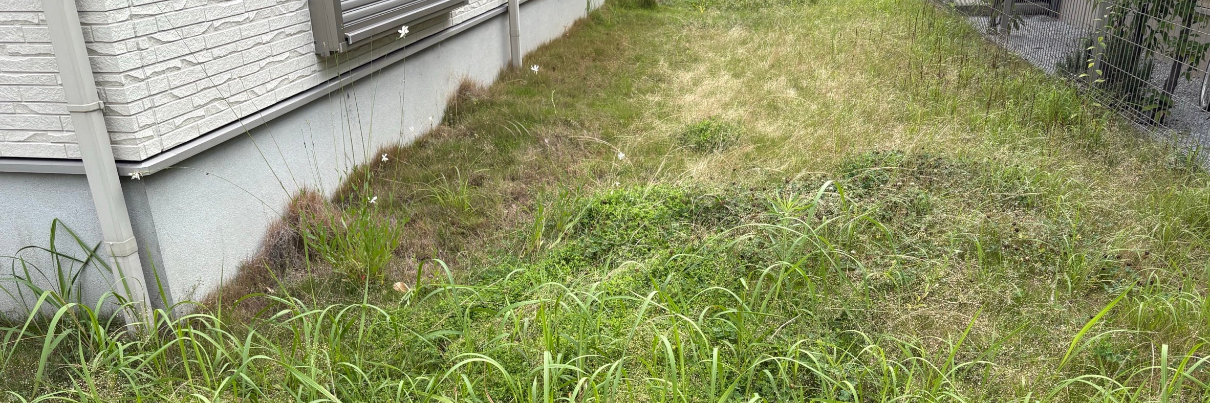 はなまる造園福岡店_4枚目